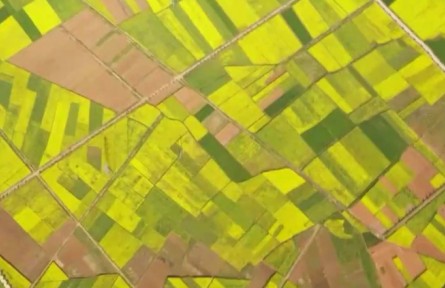 今日立春：民俗傳遞祝愿 農(nóng)事耕耘豐收