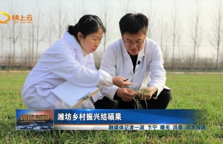 山東省濰坊市鄉(xiāng)村振興結(jié)碩果?