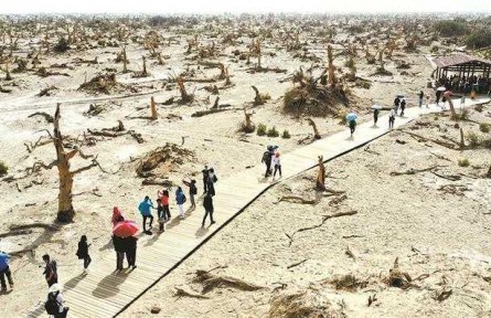 名勝 | 新疆·睡胡楊谷