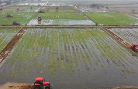 江西：春耕備耕工作全面展開