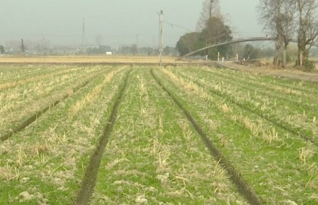 浙江寧波海曙區(qū)入選省級“肥藥兩制”改革綜合試點