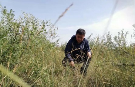 劉海江：十余載初心不改，做好生態(tài)環(huán)境保護(hù)的“眼睛”和“耳朵”