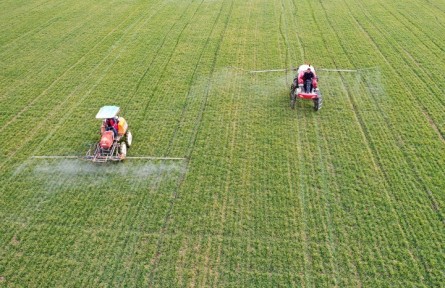 農(nóng)業(yè)農(nóng)村部啟動(dòng)冬小麥“科技壯苗”和大豆玉米帶狀復(fù)合種植技術(shù)服務(wù)活動(dòng)