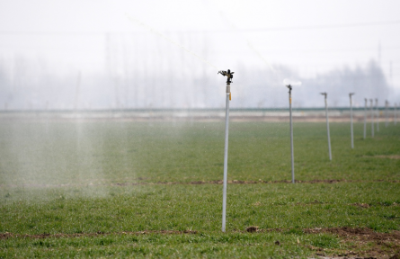 全國(guó)土壤普查 national soil census