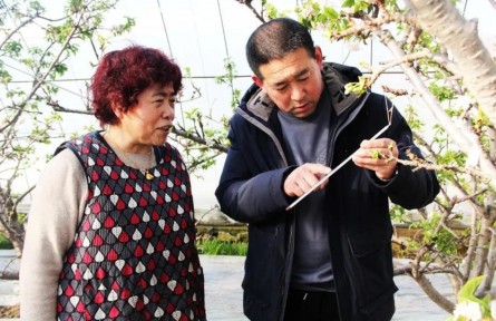 山東煙臺海陽市：因地制宜 一鎮(zhèn)一策 譜出鄉(xiāng)村振興新愿景