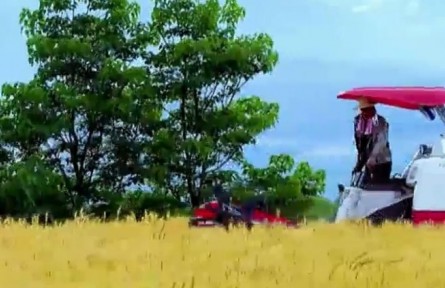 云南迪慶：把傳統(tǒng)產(chǎn)業(yè)做細 把特色產(chǎn)業(yè)做精