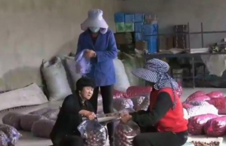 【奮進(jìn)新征程 建功新時代】甘肅慶陽：農(nóng)特產(chǎn)品走“網(wǎng)路” 興村富民新路徑