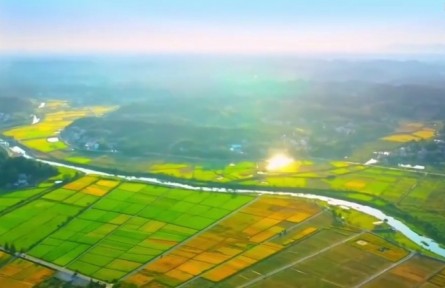 湖南：做強(qiáng)種子“芯片” 保障糧食安全