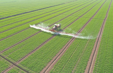 安徽：春耕備耕有序展開 不誤農(nóng)時不負春