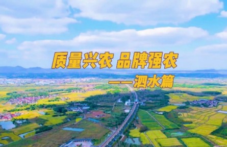 山東濟寧泗水縣：強化品牌農(nóng)業(yè)建設(shè) 助力鄉(xiāng)村振興