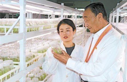 全國(guó)人大代表石光銀：“沙海愚公”帶領(lǐng)群眾走上致富路