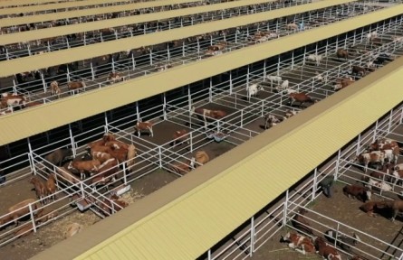 內(nèi)蒙古科右中旗：開啟復(fù)工復(fù)產(chǎn)“加速跑” 搶抓第一季度“開門紅”