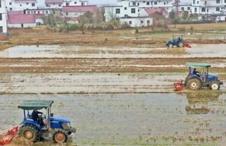 2022年江西省早稻意向播種面積達(dá)1830萬(wàn)畝