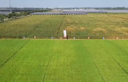 耕地保護(hù)：保數(shù)量 提質(zhì)量 管用途 挖潛力