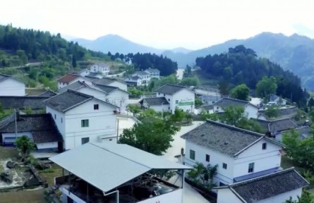 2022年全面推進鄉(xiāng)村振興重點工作明確