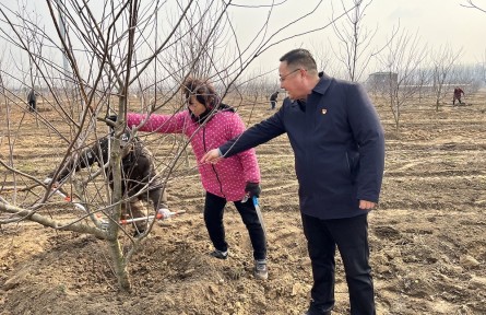 谷洲：“開荒書記”土里刨金