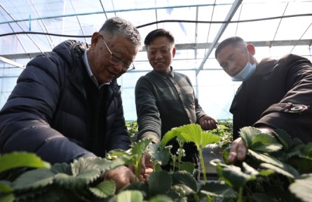 “全國(guó)脫貧攻堅(jiān)楷模”趙亞夫：帶民同致富，把成績(jī)寫(xiě)在大地上