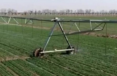 河南：冬小麥返青 科技助力田間春管