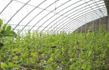 陜西榆林：塞上春來早 人勤備耕忙