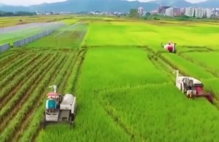 住粵全國政協(xié)委員熱議：保障國家糧食安全 兜牢民生保障底線