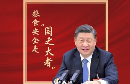 習(xí)近平：糧食安全是“國之大者”