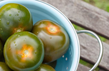 被催熟的西紅柿食用起來(lái)安全嗎？