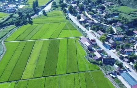 【奮進(jìn)新征程 建功新時(shí)代】陜西富縣張家灣鎮(zhèn)：草畜循環(huán) 帶動(dòng)鄉(xiāng)村振興