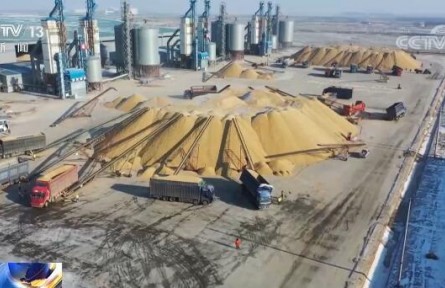 國家糧食和物資儲備局：我國糧食安全形勢總體較好 保供穩(wěn)價基礎(chǔ)扎實