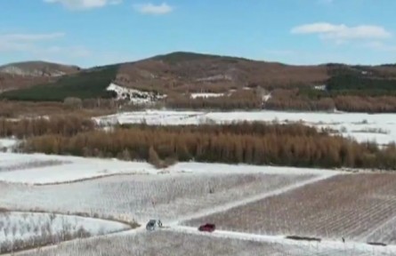 黑龍江：農技人員來指導 科技助力農業(yè)備耕