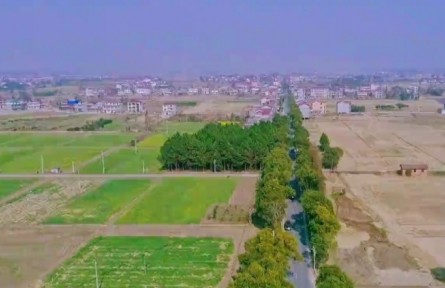 江西南昌：農(nóng)業(yè)豐收 農(nóng)民增收 夯實(shí)共同富?；A(chǔ)