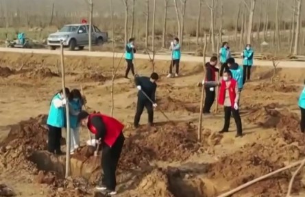 第44個(gè)植樹節(jié) 多地群眾干部積極開展植樹活動(dòng)