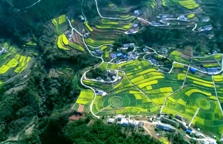 【新思想引領(lǐng)新征程】愛綠植綠護(hù)綠 讓中國更美麗