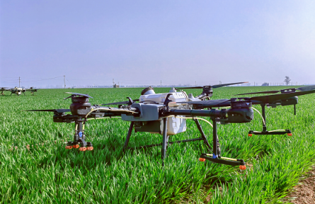 河南：守好耕地糧滿倉(cāng)