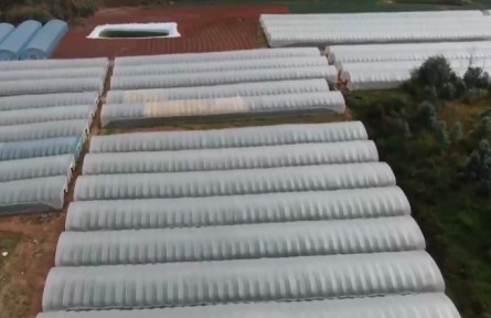 云南各地出實招保證春耕生產順利開展