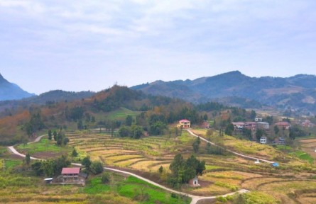 四川達州：“達舟”共譜山海情 擦亮東西部協(xié)作品牌?