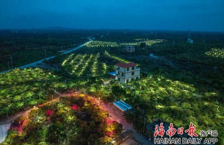 海南?？冢嚎萍假x能 助力鄉(xiāng)村振興