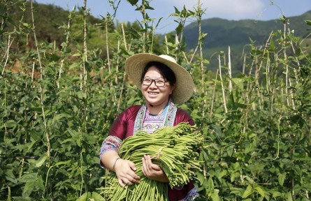 全國(guó)三八紅旗手標(biāo)兵楊寧：帶領(lǐng)大苗山鄉(xiāng)親過(guò)上更紅火的日子