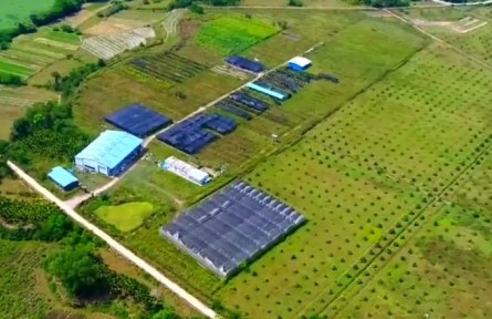 海南：打好農(nóng)產(chǎn)品加工業(yè)發(fā)展組合拳 助推綠色農(nóng)業(yè)發(fā)展轉(zhuǎn)型升級(jí)