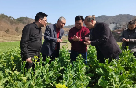 陜西安康：搶抓農(nóng)時保春耕 農(nóng)技指導到田間