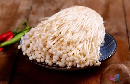 辟謠 | 金針菇為什么叫“明天見”？吃了等于白吃？原來一直誤會它了