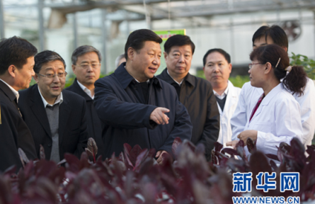 習近平總書記三農(nóng)觀：農(nóng)業(yè)現(xiàn)代化關鍵在科技進步