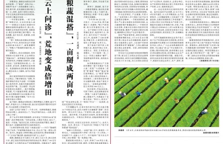 “云上問診”，荒地變成倍增田