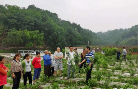 |羅國(guó)森：這位水果“守護(hù)神” 用科技釀出了“致富蜜”