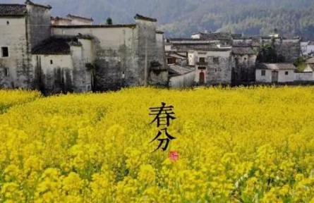 春暖花開，今日春分