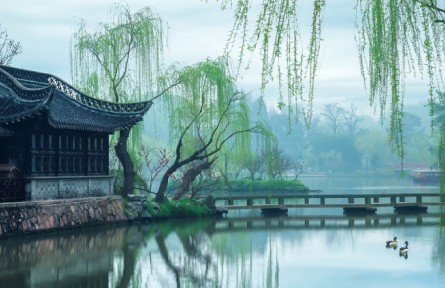 《大美中國(guó)·春天系列》春天的江蘇