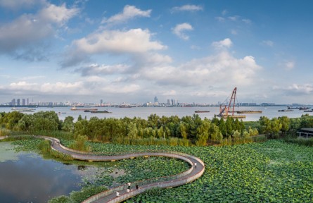 江蘇南京：修復(fù)江灘多草木 江豚嬉戲好春光