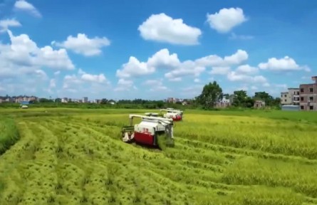 廣東化州：農(nóng)業(yè)托管助力春耕