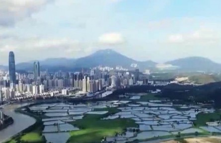 【奮進(jìn)新征程 建功新時(shí)代·偉大變革】全面深化改革取得歷史性偉大成就