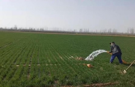 河南498萬(wàn)畝農(nóng)田“暢飲”黃河水