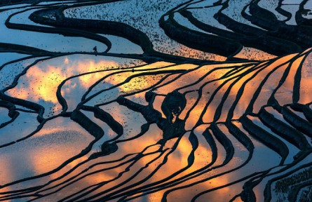 《大美中國·春天系列》春天的云南